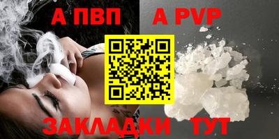 стаф Кинель