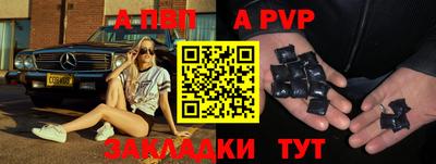 тгк Кингисепп