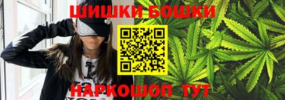 тгк Кингисепп