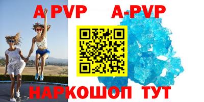 тгк Кингисепп