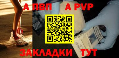 тгк Кингисепп