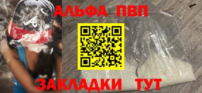 тгк Кингисепп