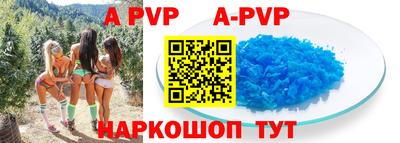 тгк Кингисепп