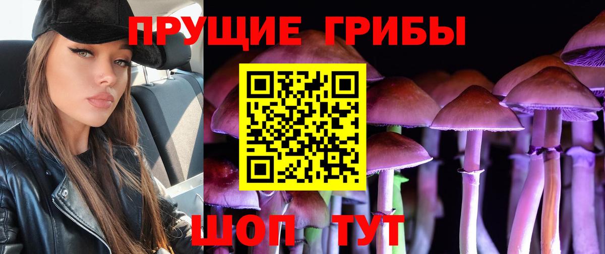 Галлюциногенные грибы GOLDEN TEACHER  Вход с VPN  Кумертау 